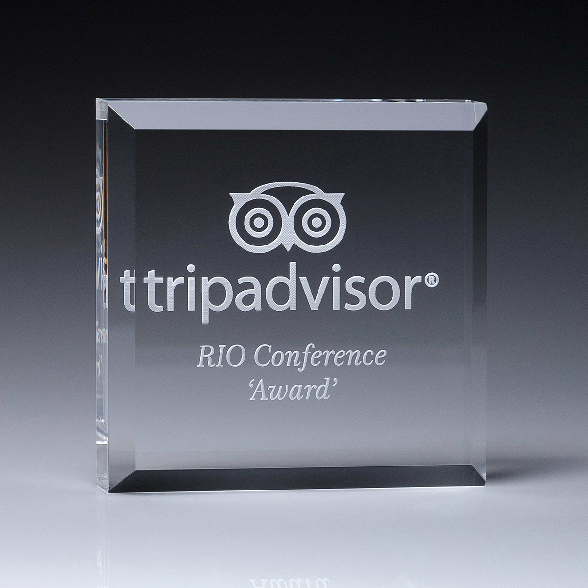 Executive Paperweight Acrylic Trophy Award
