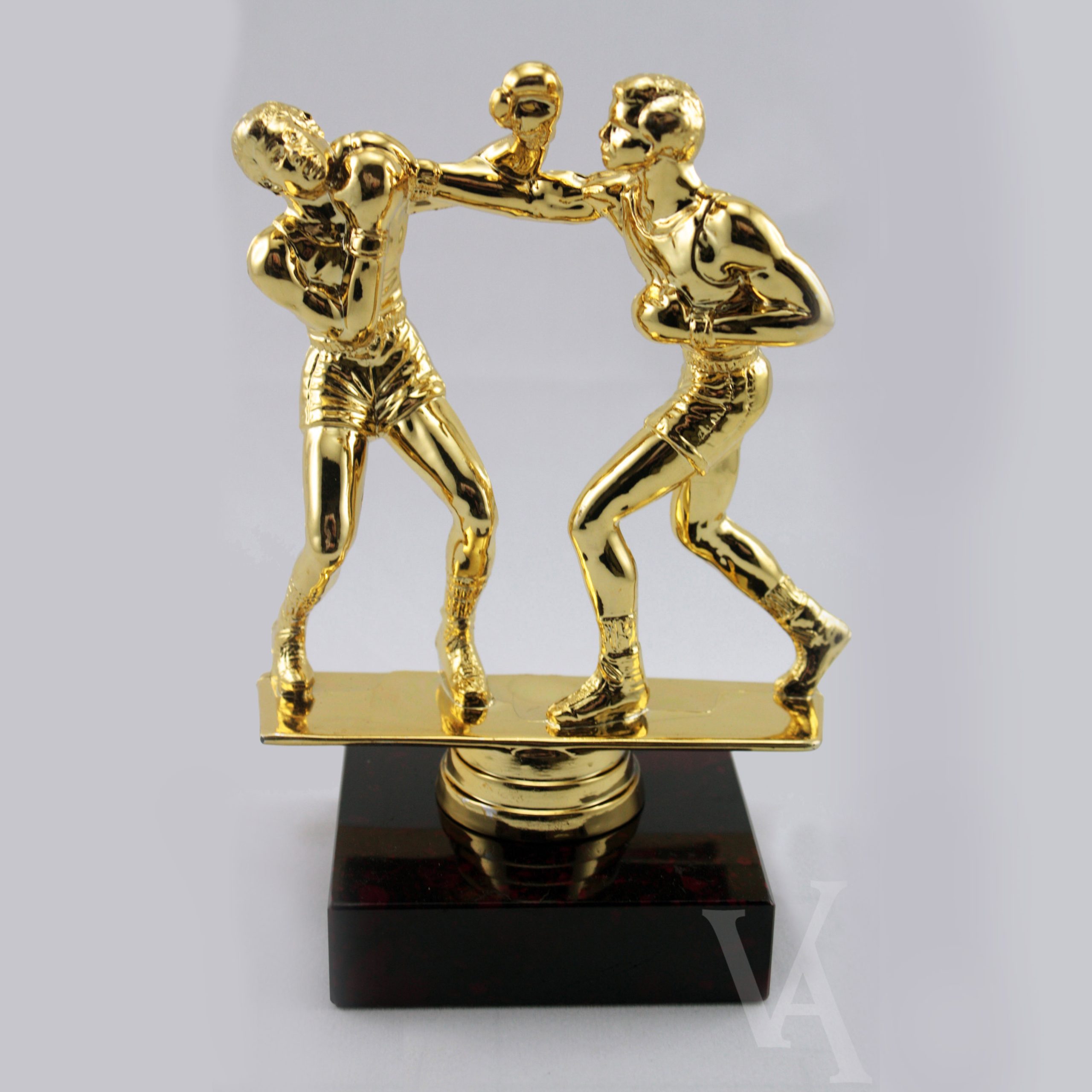 Boxing Fighters Award Trophy award free engraving